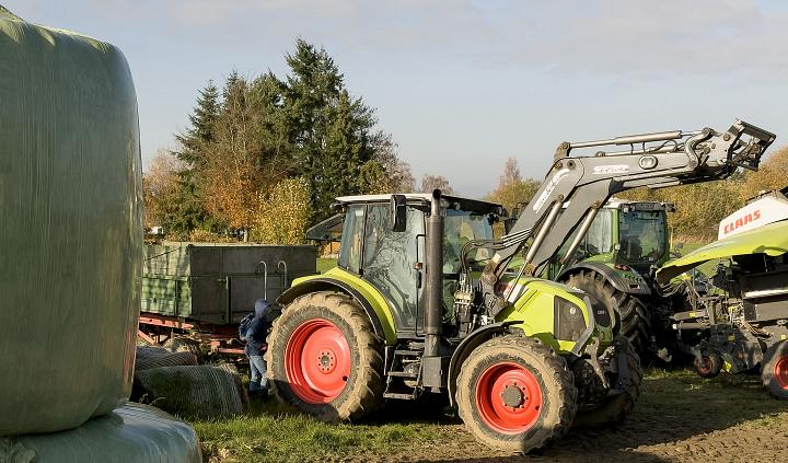 Bild: 20251108-110654.jpg